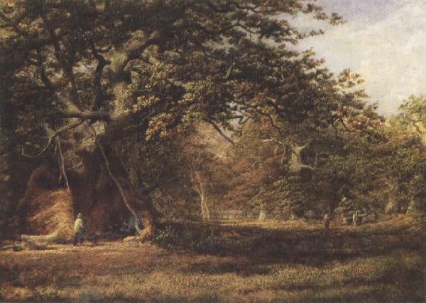 Alfred wilson cox The Woodmans'Bower,Birkland,Sherwood Forest (mk37) oil painting image